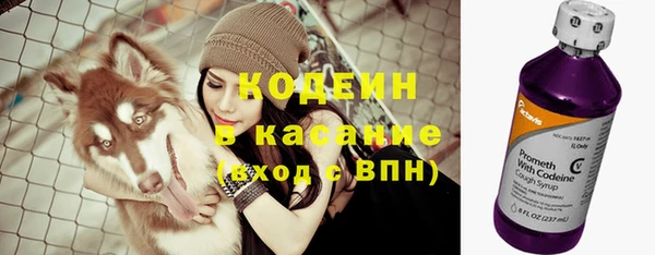 шишки Нефтегорск