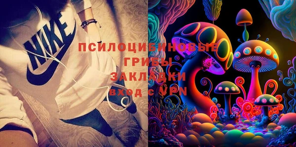 мдпв Нея