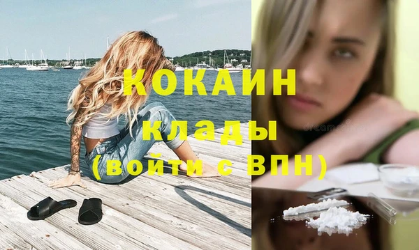 шишки Нефтегорск