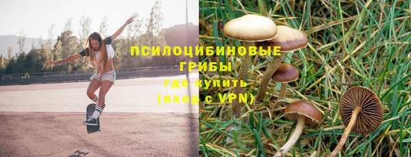 мдпв Нея