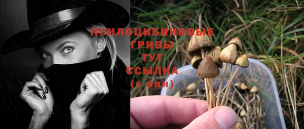 2c-b Нефтекумск