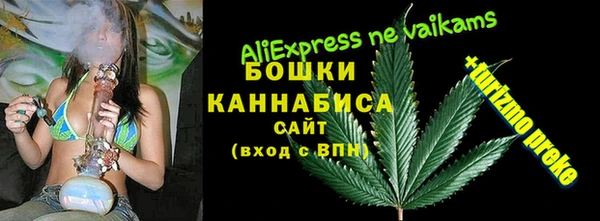 шишки Нефтегорск