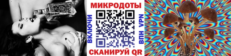 Галлюциногенные грибы Psilocybine cubensis Ядрин